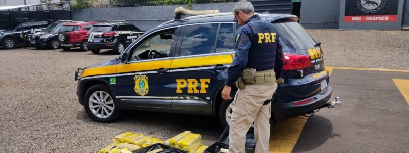 151953b1-20df-48d4-93e0-465fafd0744b-1024x766 (1)