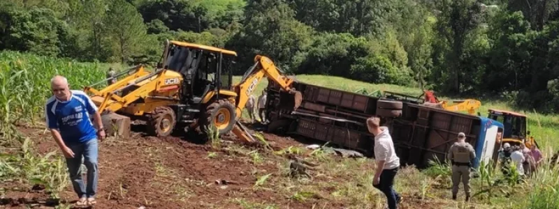 5229031_96468d8679a15ca