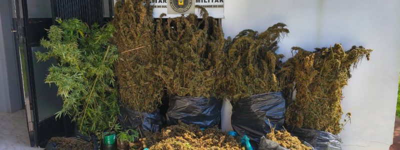 WhatsApp Image 2026-04-01 at 17.19.45